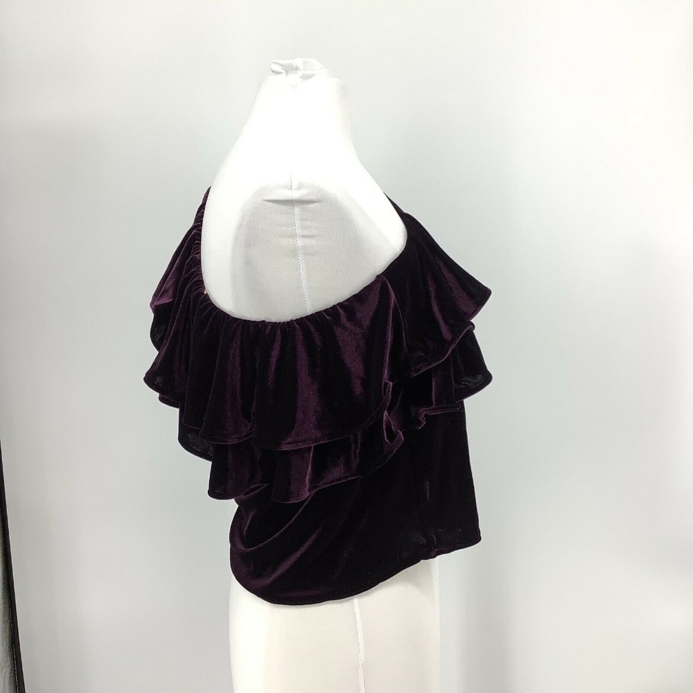 MISA LOS ANGELES Agus One-Shoulder Velvet Top Plum - Picture 4 of 8